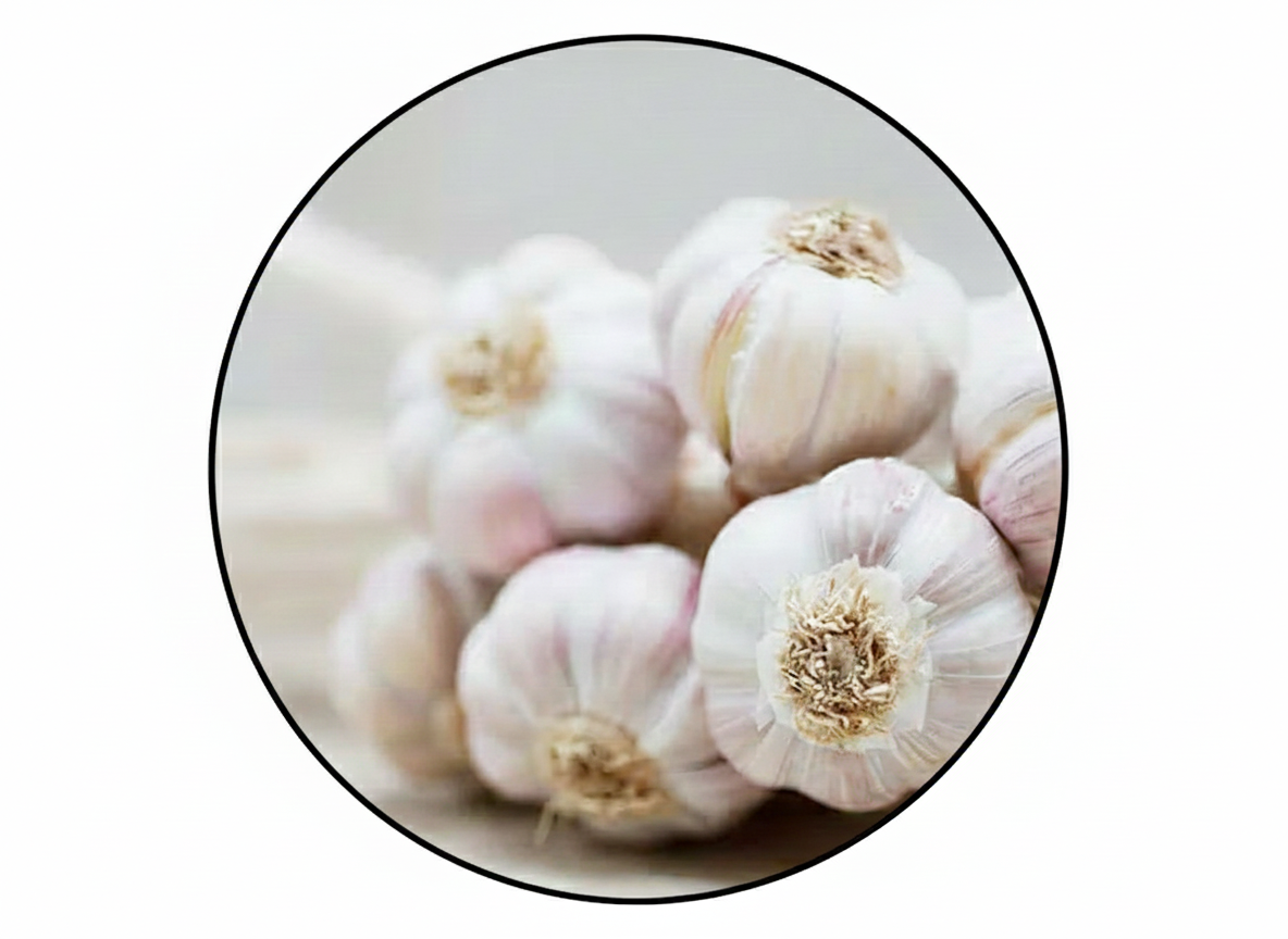 Bulb & Stem Vegetables