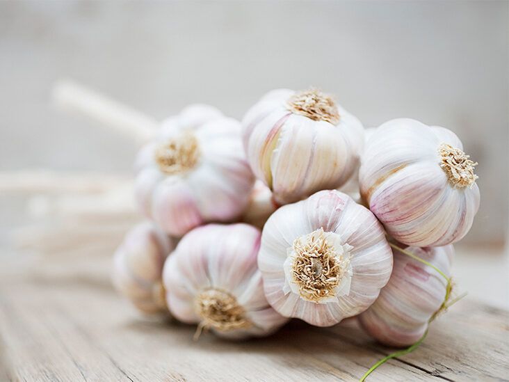 Garlic