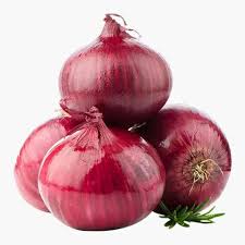 Onion