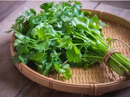 Coriander Leaves